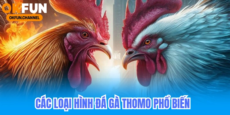 Các loại hình đá gà Thomo phổ biến