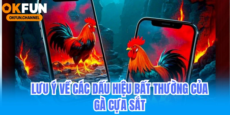 Đá Gà Cựa sắt Lưu Ý Về Các Dấu Hiệu Bất Thường